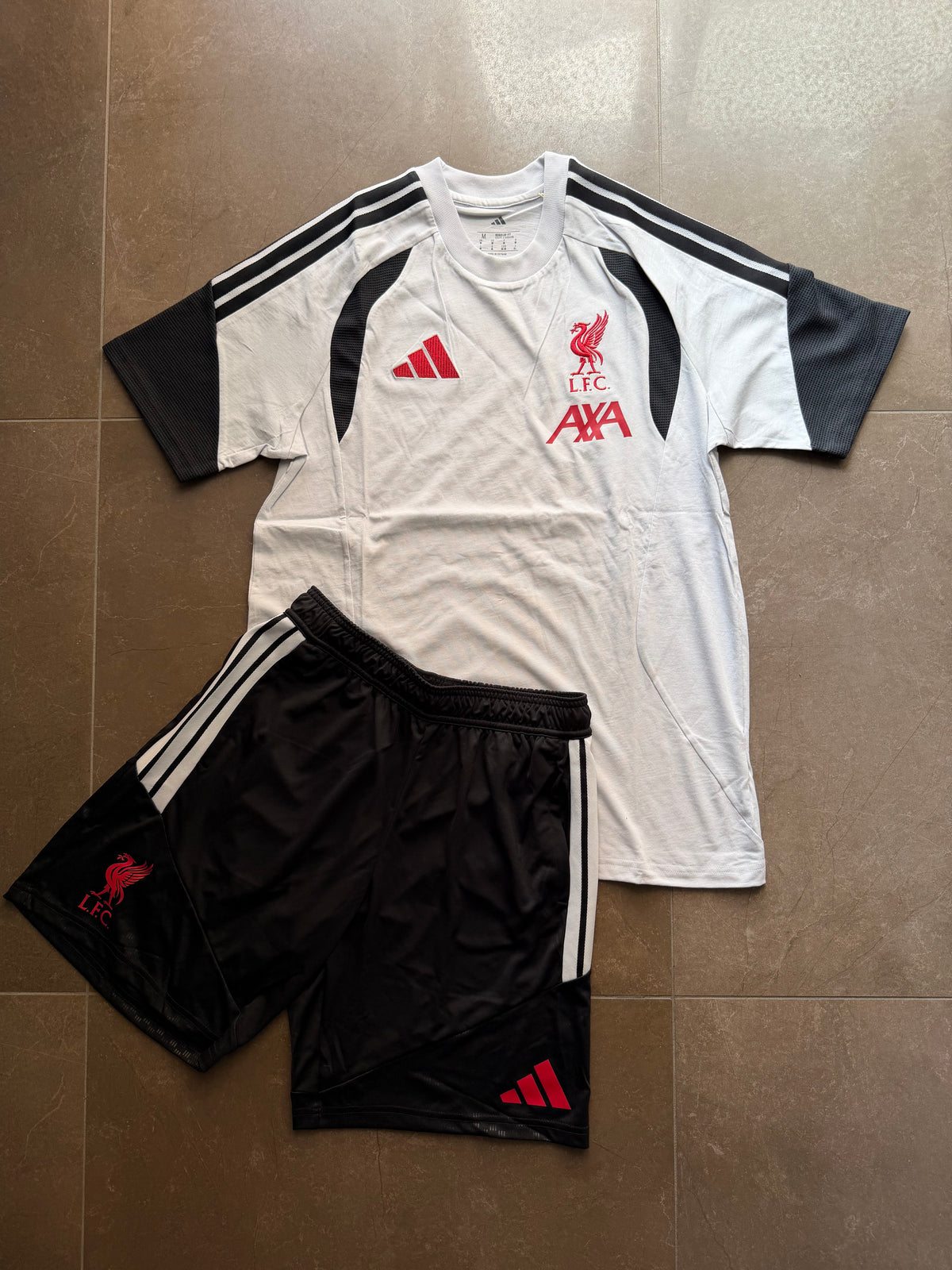 Completo Adidas Liverpool Cotton Grey Tee
